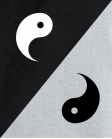 jing jang 